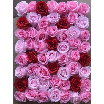 Rose Flower Wall Pinks/Red