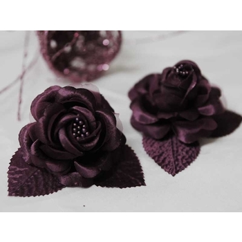 12 ACCENT Bellissimo Craft Roses - Egg Plant