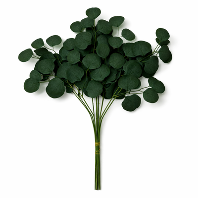 Green Eucalyptus Silver Dollar Stems 50cm – 10 Pcs - Artificial