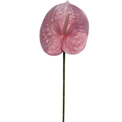 Pink Anthurium Stem Soft Touch 60cm