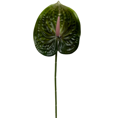 Green Anthurium Stem Soft Touch 60cm