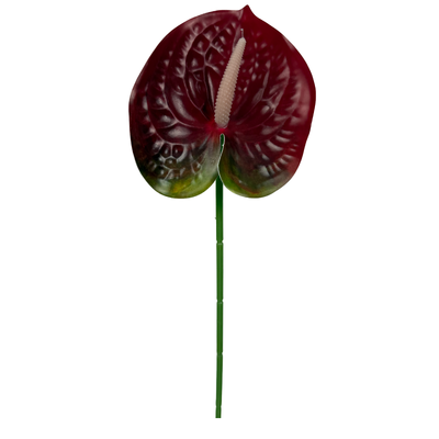 Wine Red Anthurium Stem Soft Touch 60cm