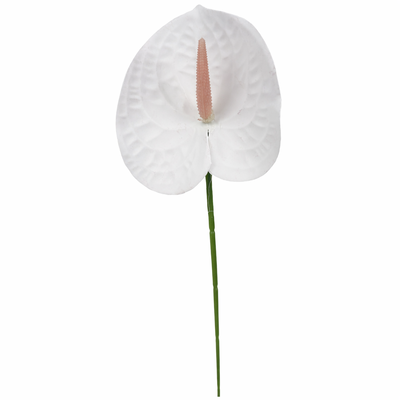 White Anthurium Stem Soft Touch 60cm
