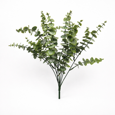 True Blue Eucalyptus Bush 40cm