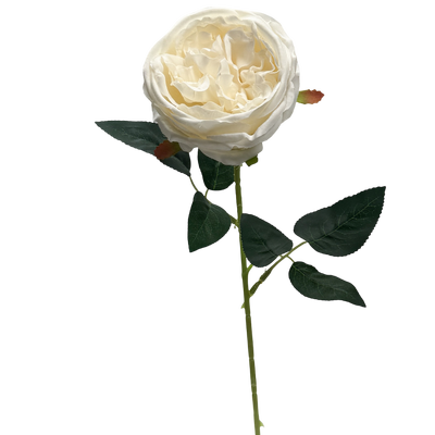 White/Cream David Austin Rose Stem 50cm Artificial – Single Stem