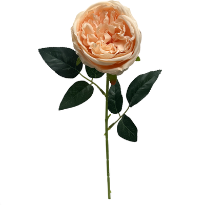 Peach David Austin Rose Stem 50cm Artificial – Single Stem