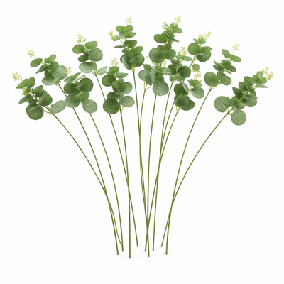 12 Pcs Green Verigated Eucalyptus Silver Dollar Stem - Artificial