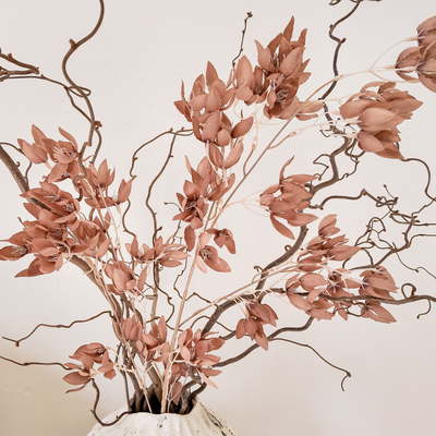 Mocha Brown Blossom Spray – 90cm Artificial