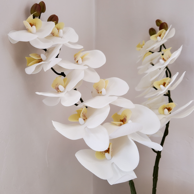 White Soft Touch Phalaenopsis Orchid Stem – 100cm Artificial Flower