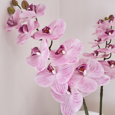 Pink Soft Touch Phalaenopsis Orchid Stem – 100cm Artificial Flower