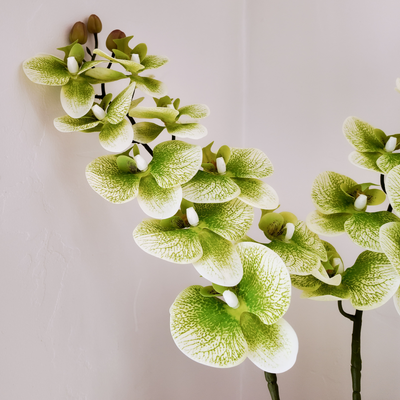 Green Soft Touch Phalaenopsis Orchid Stem – 100cm Artificial Flower