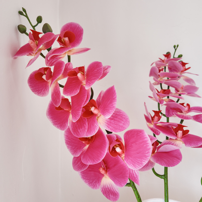 Deep Pink Soft Touch Phalaenopsis Orchid Stem – 100cm Artificial Flower