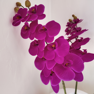 Fushia Soft Touch Phalaenopsis Orchid Stem – 100cm Artificial Flower