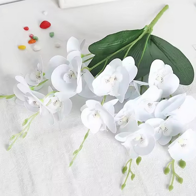 45cm Orchid Flower with Roots - Pink