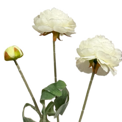 52cm Artificial 3 Head Ranunculus Flower Spray – White
