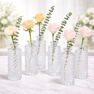 Clear Glass Bud Vase Set of 6