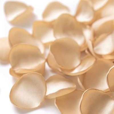 100 Beige Silky Rose Petals