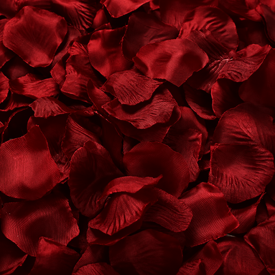 Rose Petals  - Deep Red  -100pk