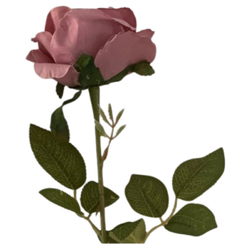 60cm - Mauve Single Stem Rose