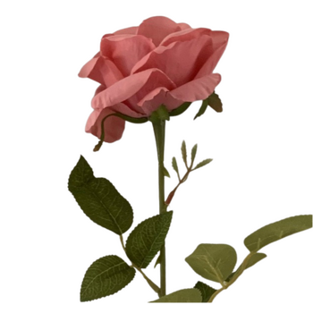 60cm - Deep Pink Single Stem Rose