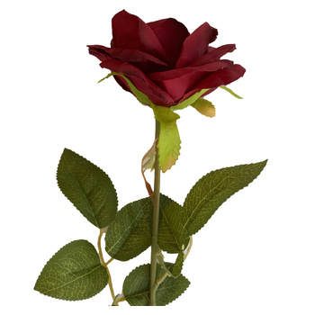 60cm - Burgundy Single Stem Rose