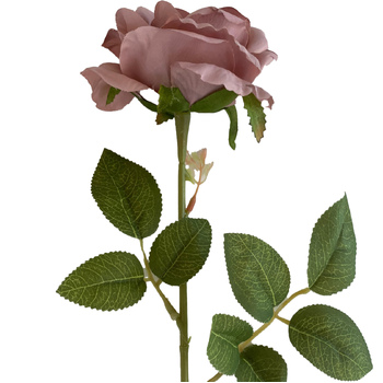 60cm - Dusty Mauve Single Stem Rose