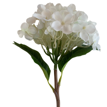 Hydrangea Stem 35cm - White