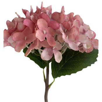 Hydrangea Stem 35cm - Dusty Pink