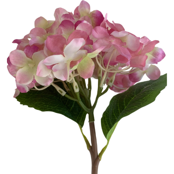 Hydrangea Stem 35cm - Fushia/Pink