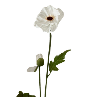 75cm Poppy Stem - White