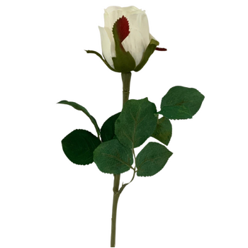50cm - White Single Stem Bud Rose