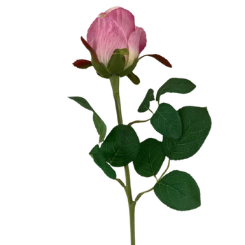 50cm - Violet Single Stem Bud Rose