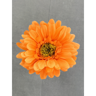Gerbera Daisy Stem - Orange