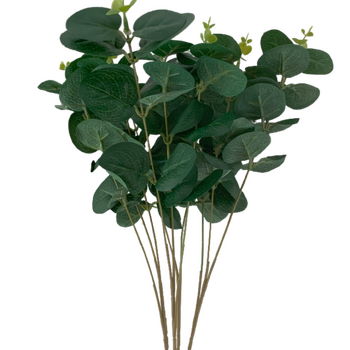 52cm Dark Green  Native Eucalyptus Leaf Bunch (Silver Dollar)