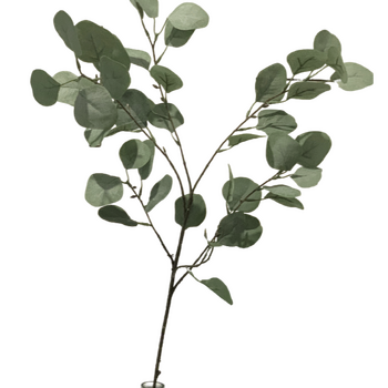 95cm Native Eucalyptus Leaf Branch (Silver Dollar)