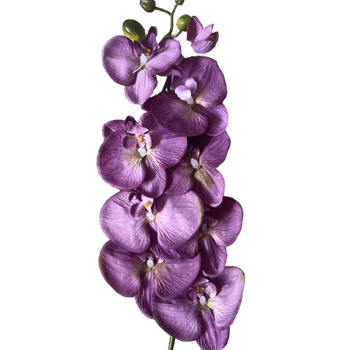 thumb_Violet Phalaenopsis Orchid 7 head - 100cm