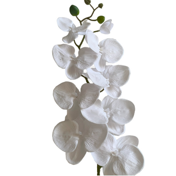 Pure White Phalaenopsis Orchid 7 head - 100cm