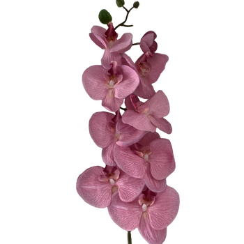Pink Phalaenopsis Orchid 7 head - 100cm
