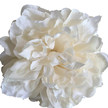 14cm Peony Flower Head - White/Cream