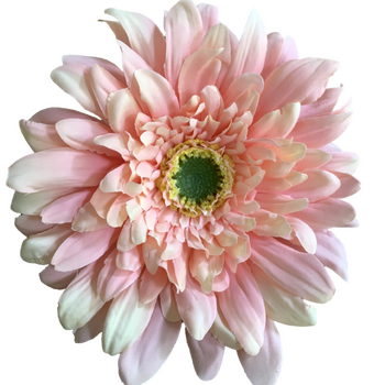 15cm Gerbera Flower Head - Pink