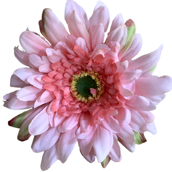 15cm Gerbera Flower Head - Dark Pink