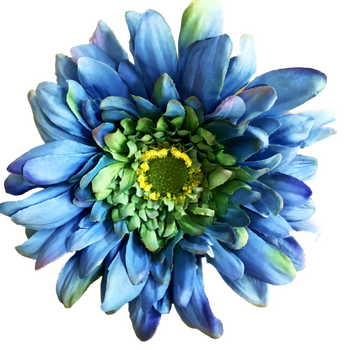 15cm Gerbera Flower Head - Blue