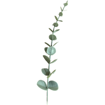 36cm Pale Green Native Eucalyptus Native Stem