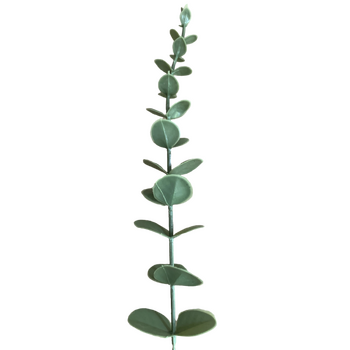 36cm Mid Green Native Eucalyptus Native Stem
