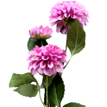 75cm - 3 Head Dahlia Flower Stem - Light Purple