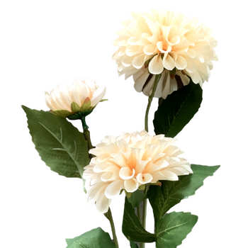 75cm - 3 Head Dahlia Flower Stem - Cream/Champagne