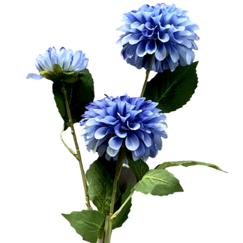 75cm - 3 Head Dahlia Flower Stem - Blue