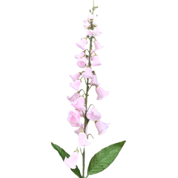 100cm - Foxglove flower stems - Pink
