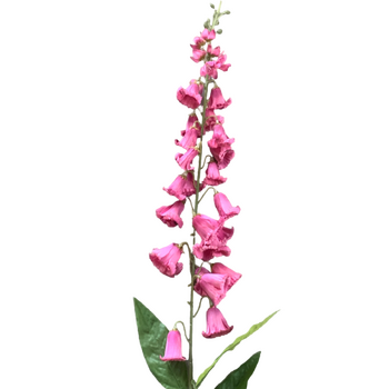 thumb_100cm - Foxglove flower stems - Fushia
