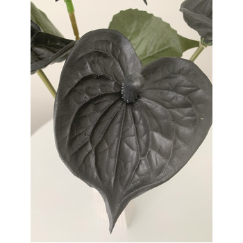 57cm - Black Real Touch Anthurium Flower